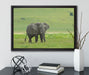 gigantischer Elefant im Gras auf Leinwandbild gerahmt mit Kirschblüten