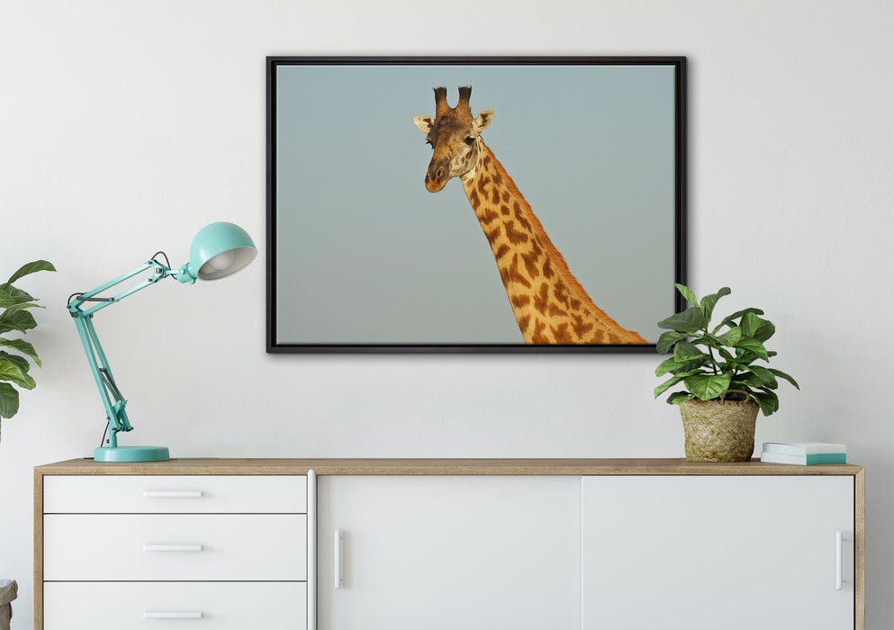 majestätische Giraffe auf Leinwandbild gerahmt verschiedene Größen im Wohnzimmer