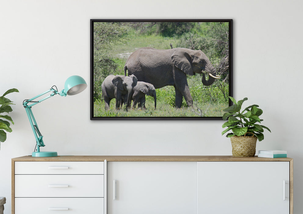friedliche Elefantenfamilie, Leinwandbild mit Bilderrahmen