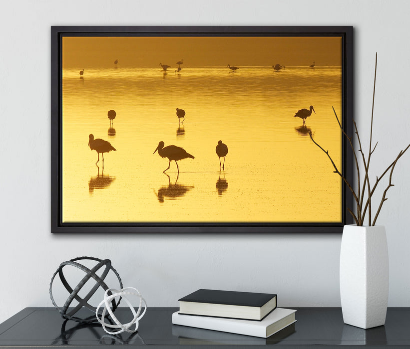 Pelikanschwarm im Wasser auf Leinwandbild gerahmt mit Kirschblüten