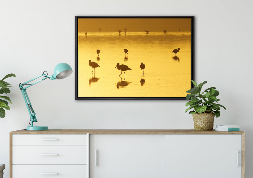 Pelikanschwarm im Wasser auf Leinwandbild gerahmt verschiedene Größen im Wohnzimmer