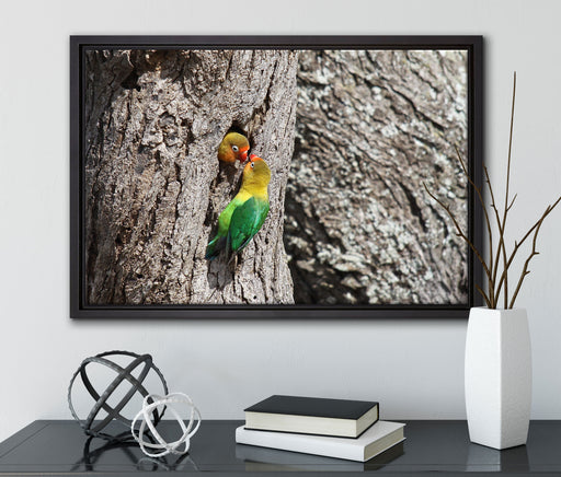 Unzertrennlichen-Paar auf Leinwandbild gerahmt mit Kirschblüten