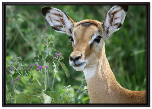 niedliches Reh vor hoher Wiese auf Leinwandbild gerahmt Größe 100x70