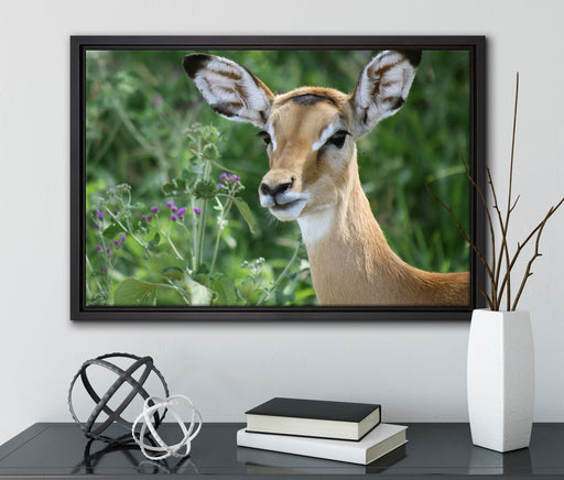 niedliches Reh vor hoher Wiese auf Leinwandbild gerahmt mit Kirschblüten