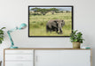 Elefant in der Savanne auf Leinwandbild gerahmt verschiedene Größen im Wohnzimmer