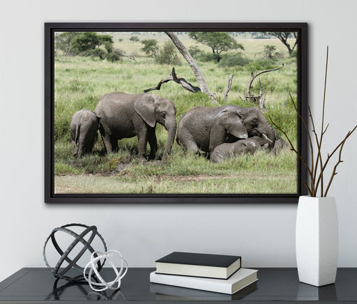 große Elefantenfamilie auf Leinwandbild gerahmt mit Kirschblüten