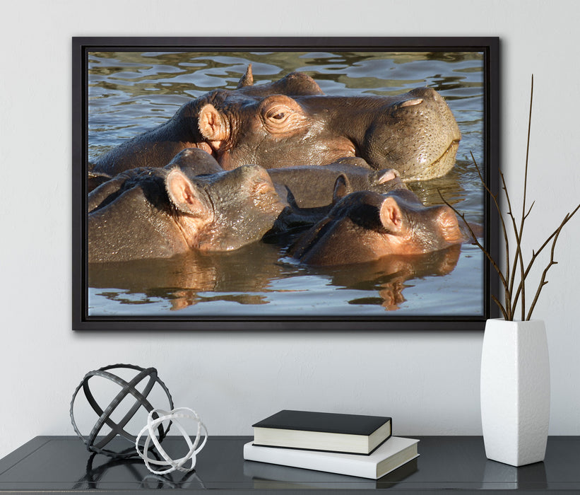 schwimmende Flusspferdfamilie auf Leinwandbild gerahmt mit Kirschblüten