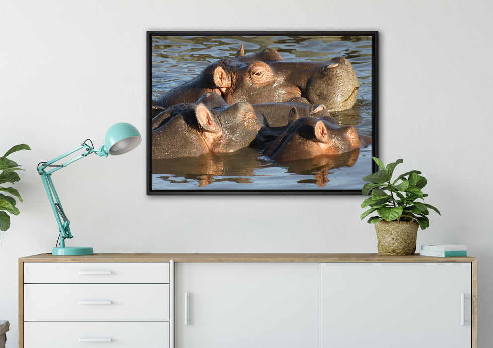 schwimmende Flusspferdfamilie auf Leinwandbild gerahmt verschiedene Größen im Wohnzimmer