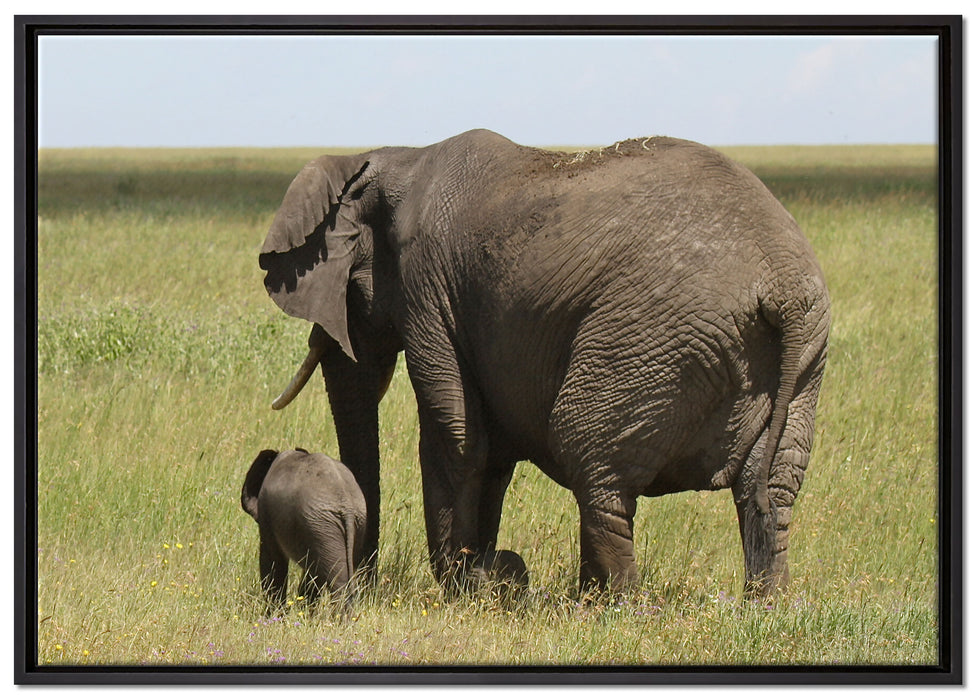 Elefantenweibchen mit Jungtier auf Leinwandbild gerahmt Größe 100x70