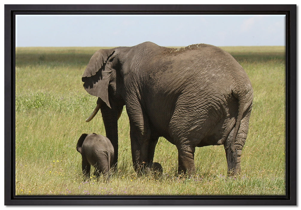 Elefantenweibchen mit Jungtier auf Leinwandbild gerahmt Größe 60x40