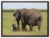 Elefantenweibchen mit Jungtier auf Leinwandbild gerahmt Größe 80x60