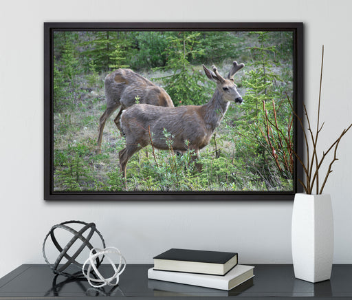 junges Reh Paar auf Leinwandbild gerahmt mit Kirschblüten