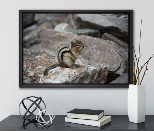 schüchternes Streifenhörnchen auf Leinwandbild gerahmt mit Kirschblüten