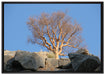 einsamer Baum im Gebirge auf Leinwandbild gerahmt Größe 100x70