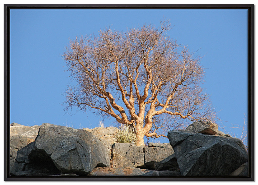 einsamer Baum im Gebirge auf Leinwandbild gerahmt Größe 100x70