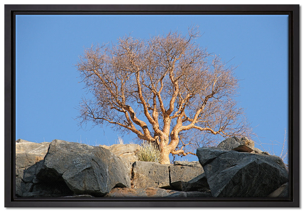 einsamer Baum im Gebirge auf Leinwandbild gerahmt Größe 60x40