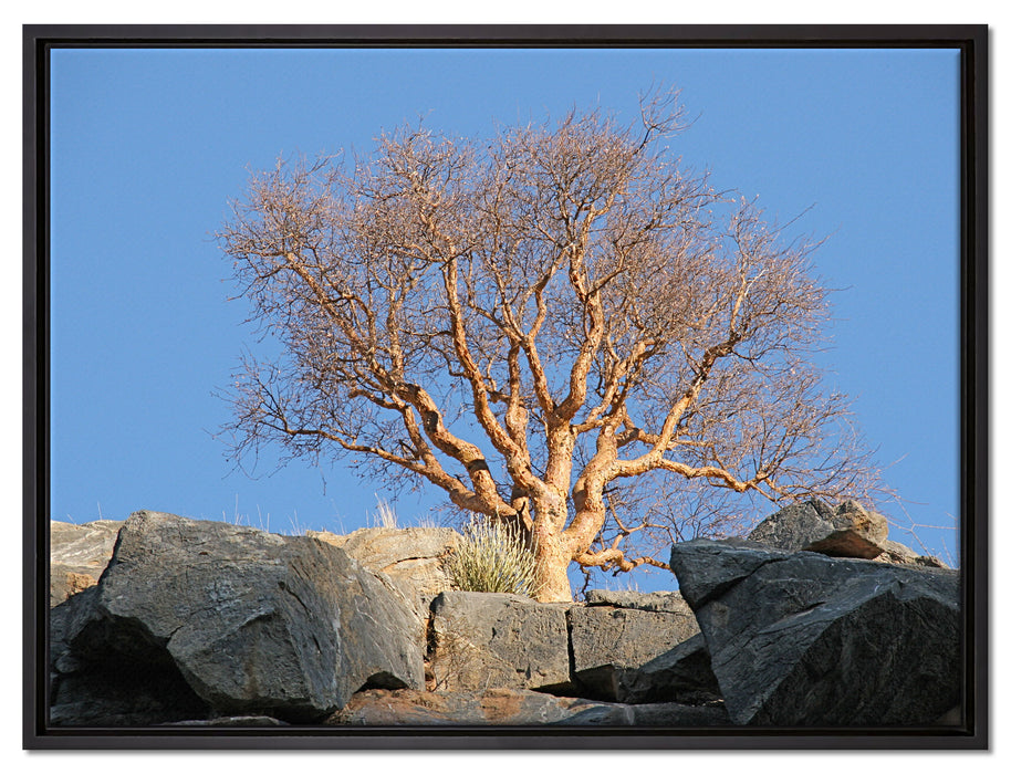 einsamer Baum im Gebirge auf Leinwandbild gerahmt Größe 80x60