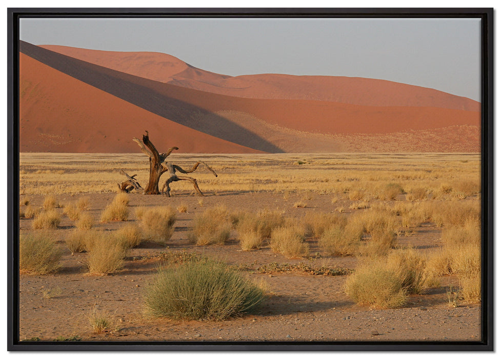 vertrockneter Baum in Wüste auf Leinwandbild gerahmt Größe 100x70