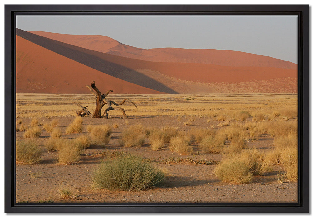 vertrockneter Baum in Wüste auf Leinwandbild gerahmt Größe 60x40