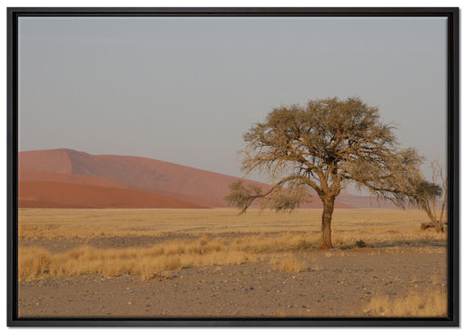 einzelner Baum in Wüste auf Leinwandbild gerahmt Größe 100x70