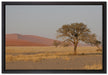 einzelner Baum in Wüste auf Leinwandbild gerahmt Größe 60x40