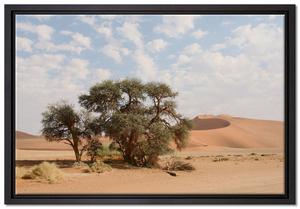 Bäume in Wüstenlandschaft auf Leinwandbild gerahmt Größe 60x40