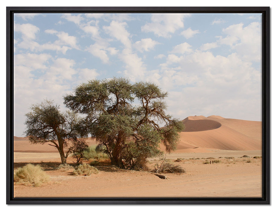 Bäume in Wüstenlandschaft auf Leinwandbild gerahmt Größe 80x60