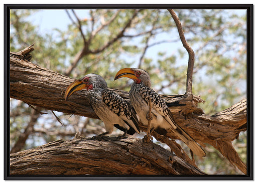 zwei Vögel auf einem Baum auf Leinwandbild gerahmt Größe 100x70