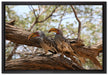zwei Vögel auf einem Baum auf Leinwandbild gerahmt Größe 60x40