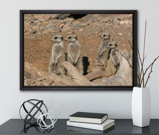 kleines Erdmännchen Rudel auf Leinwandbild gerahmt mit Kirschblüten