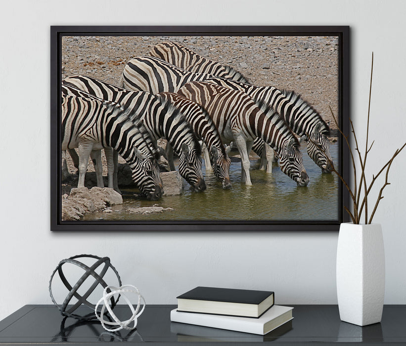 Zebrafamilie an einem Wasserloch auf Leinwandbild gerahmt mit Kirschblüten