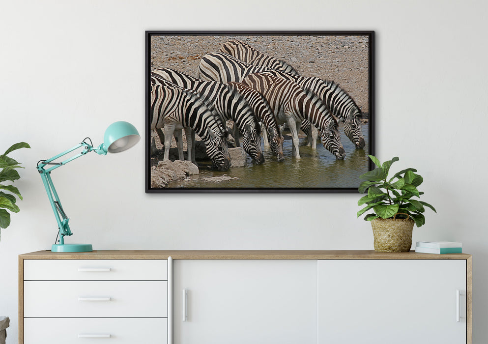 Zebrafamilie an einem Wasserloch auf Leinwandbild gerahmt verschiedene Größen im Wohnzimmer