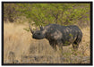 Nashorn in der Savanne auf Leinwandbild gerahmt Größe 100x70