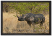 Nashorn in der Savanne auf Leinwandbild gerahmt Größe 60x40