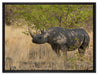 Nashorn in der Savanne auf Leinwandbild gerahmt Größe 80x60