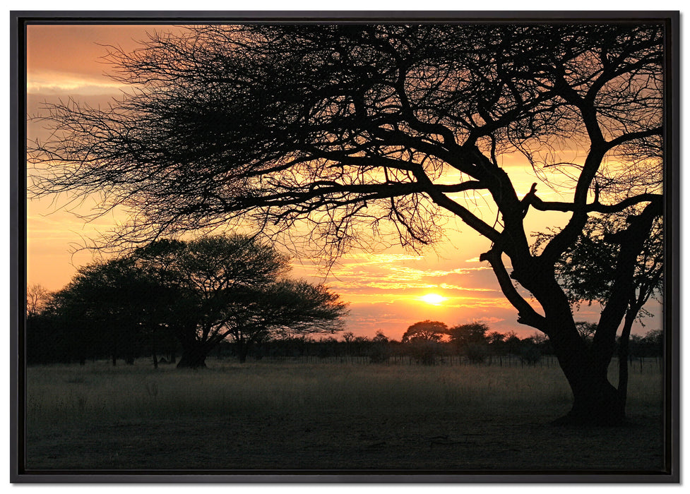 Savanne im Dämmerlicht auf Leinwandbild gerahmt Größe 100x70