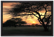 Savanne im Dämmerlicht auf Leinwandbild gerahmt Größe 60x40