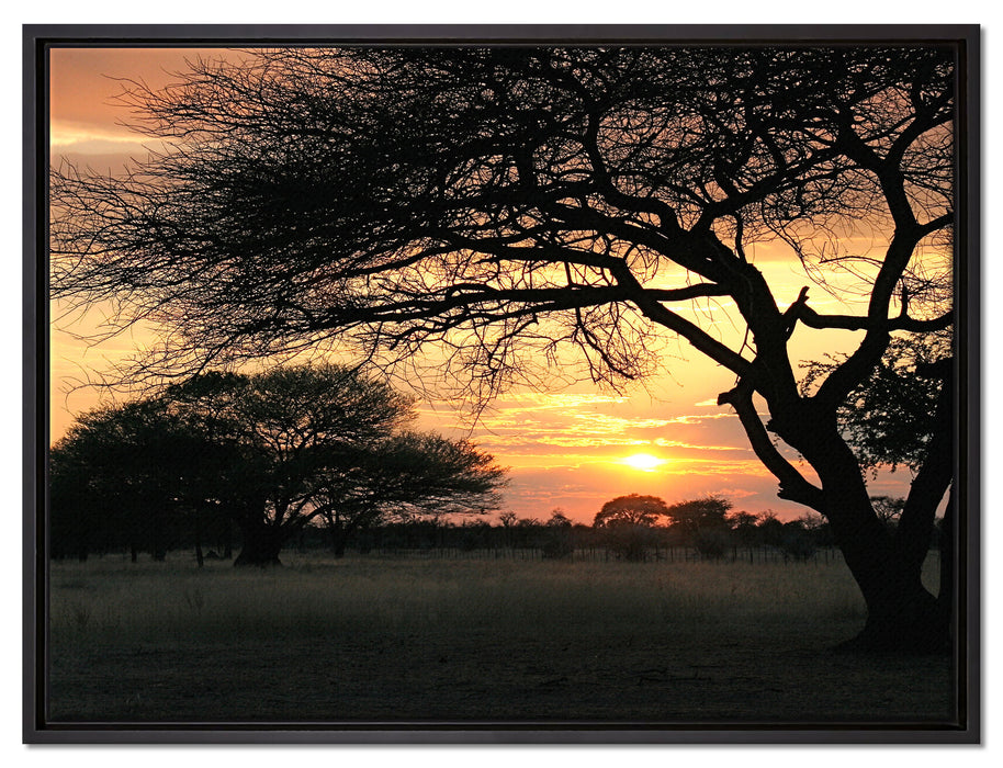 Savanne im Dämmerlicht auf Leinwandbild gerahmt Größe 80x60