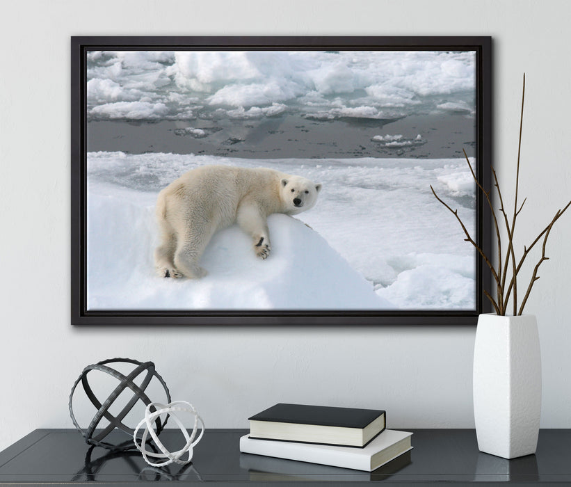 Eisbär auf Eisberg auf Leinwandbild gerahmt mit Kirschblüten