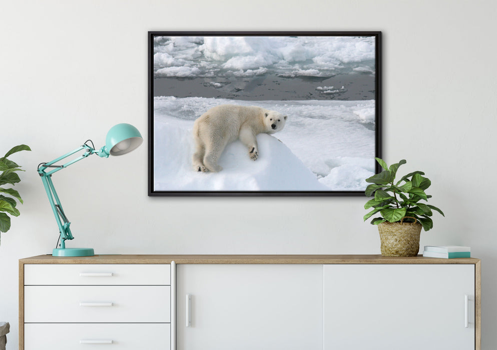 Eisbär auf Eisberg auf Leinwandbild gerahmt verschiedene Größen im Wohnzimmer
