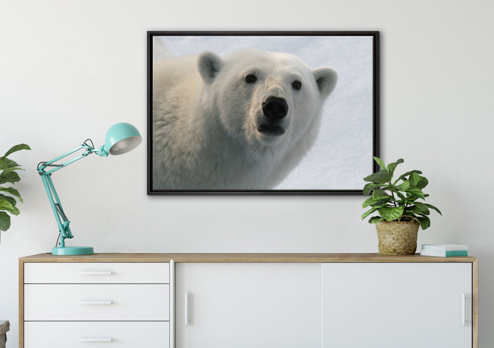 wachsamer Eisbär auf Leinwandbild gerahmt verschiedene Größen im Wohnzimmer