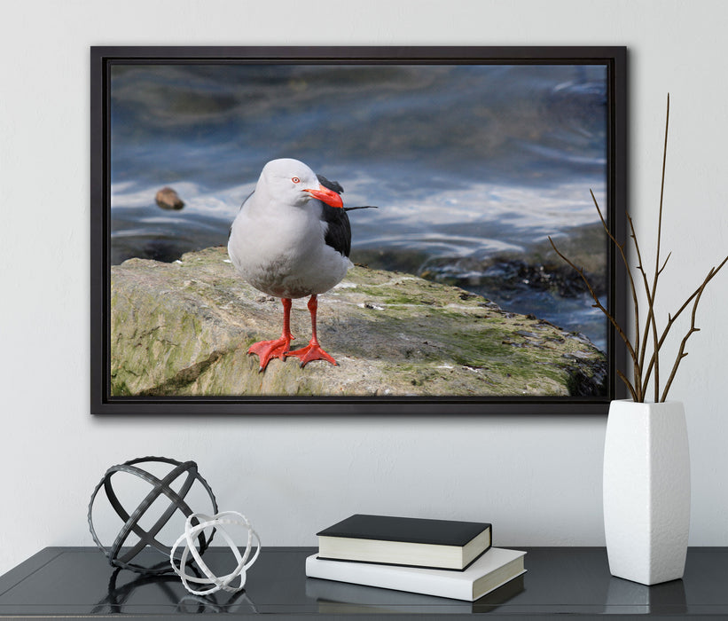 kleine Möwe auf Felsbrocken auf Leinwandbild gerahmt mit Kirschblüten