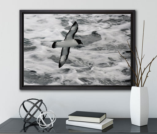 prächtige Möwe fliegt über Wasser auf Leinwandbild gerahmt mit Kirschblüten