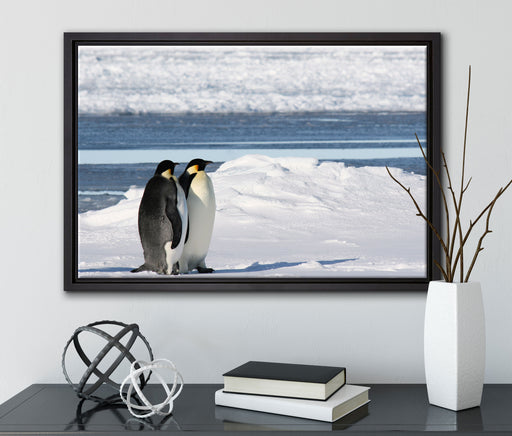 Kaiserpinguine auf Leinwandbild gerahmt mit Kirschblüten