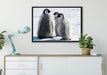 drei Kaiserpinguinküken auf Leinwandbild gerahmt verschiedene Größen im Wohnzimmer