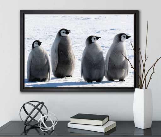 Kaiserpinguinküken auf Leinwandbild gerahmt mit Kirschblüten