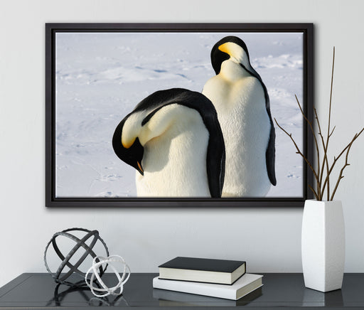 Kaiserpinguine auf Leinwandbild gerahmt mit Kirschblüten