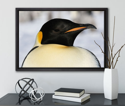 prachtvoller Kaiserpinguin auf Leinwandbild gerahmt mit Kirschblüten