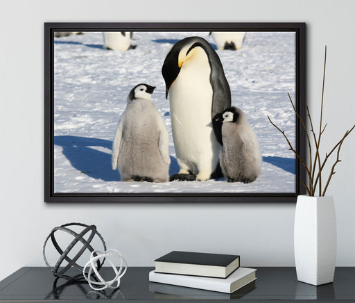 Kaiserpinguin mit Küken auf Leinwandbild gerahmt mit Kirschblüten