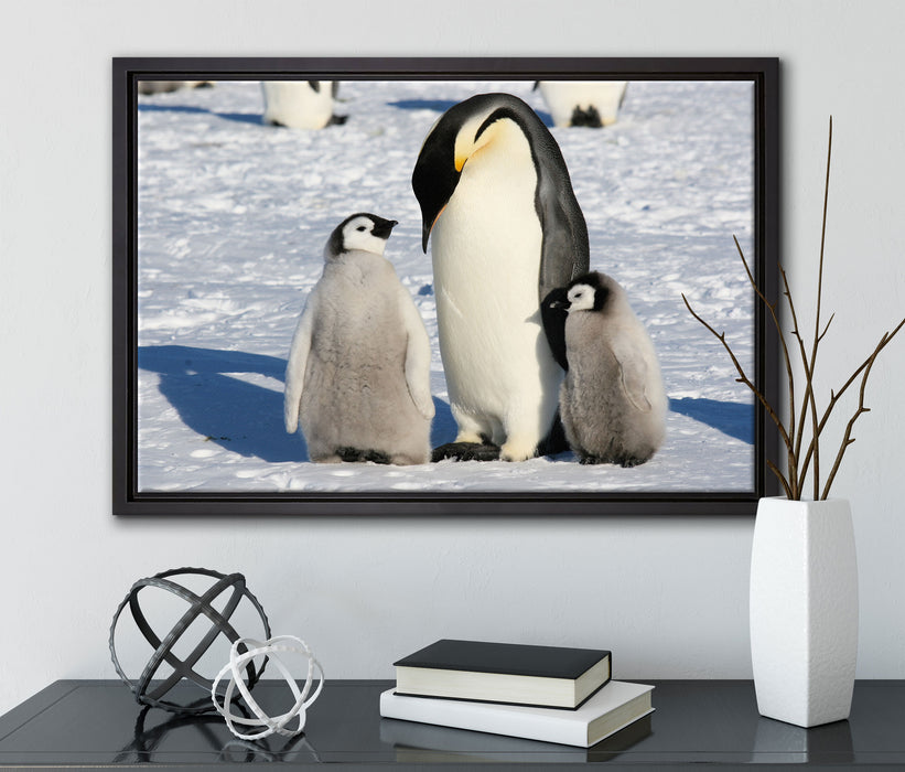 Kaiserpinguin mit Küken auf Leinwandbild gerahmt mit Kirschblüten